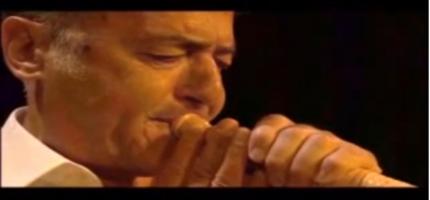 Das Alphorn (Extract from Stefan Schwietert